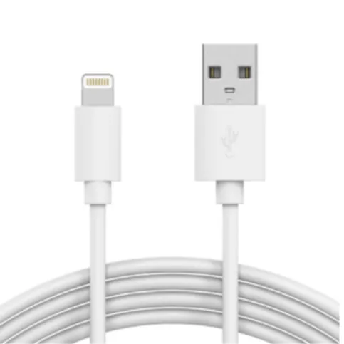 iPhone Charger